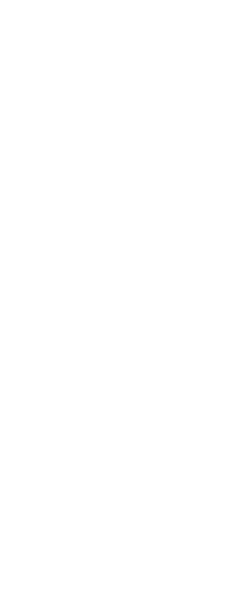 木のぬくもりと、家族の想いが重なる、手造りの家。